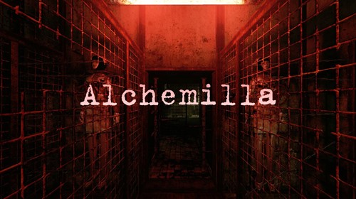 Silent Hill: Alchemilla (2014)