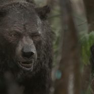 Mowgli: La Leyenda de la Selva (2018)