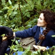Gorilas en la Niebla (1988)