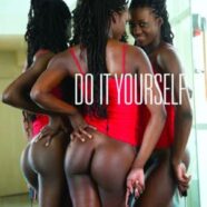 Do it Yourself (2012)
