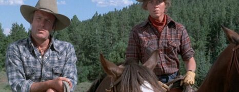 Llega un Jinete Libre y Salvaje (1978)