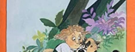 Aventuras de Sol (1991)