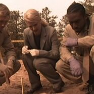 El Hijo Nº 13 (2002)