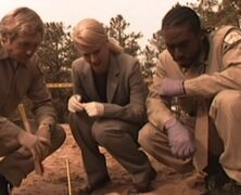 El Hijo Nº 13 (2002)