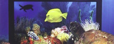 Visiones del Mar (2006)