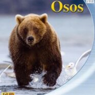 Osos (2001)