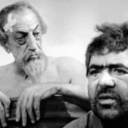 Don Quijote (1992)