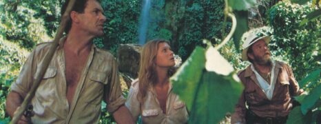 Los Aventureros del Tesoro Perdido (1982)