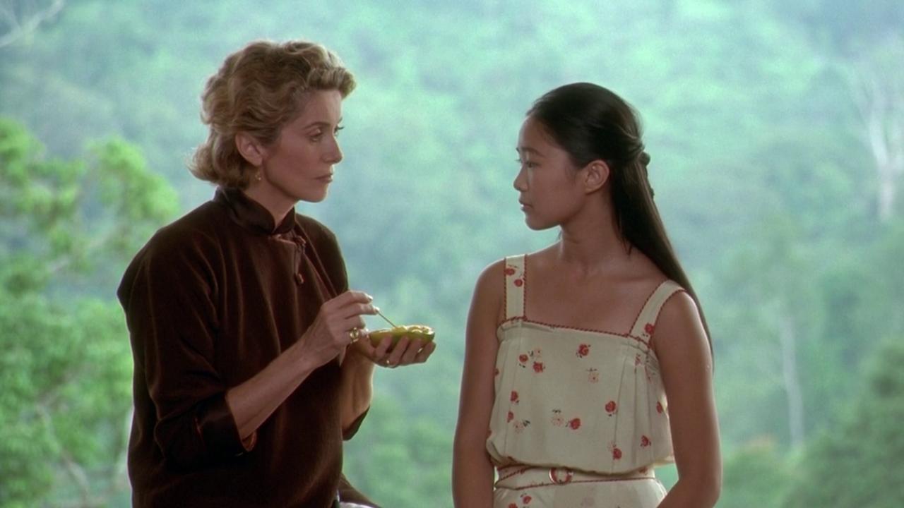 Indochina (1992)