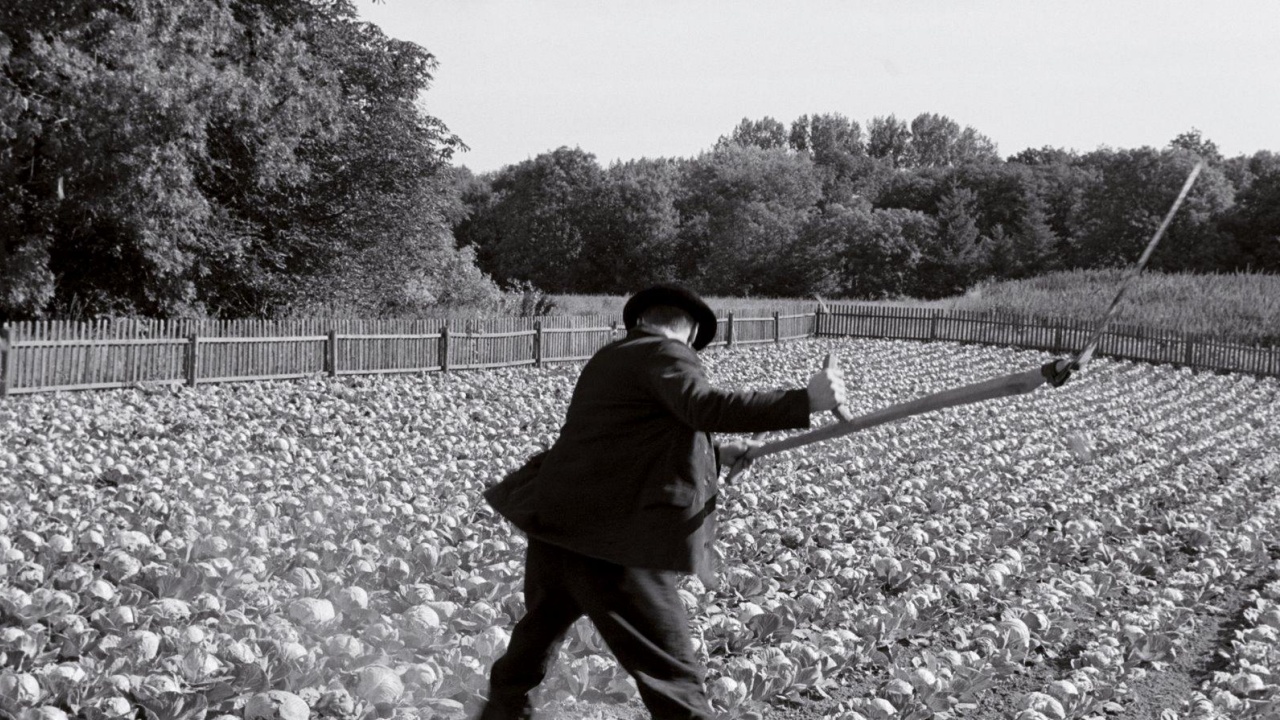 La Cinta Blanca (2009)