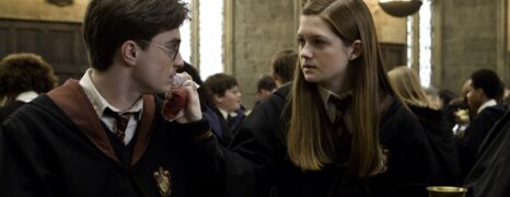 Harry Potter y el Misterio del Príncipe (2009)