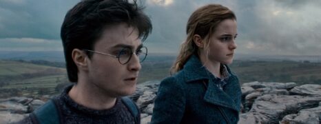 Harry Potter y las Reliquias de la Muerte: Parte I (2010)