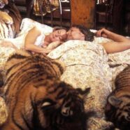 El Gran Rugido (1981)