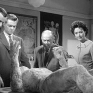 La Maldición del Hombre sin Cara (1958)