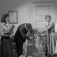 Monstruo en la Noche (1958)