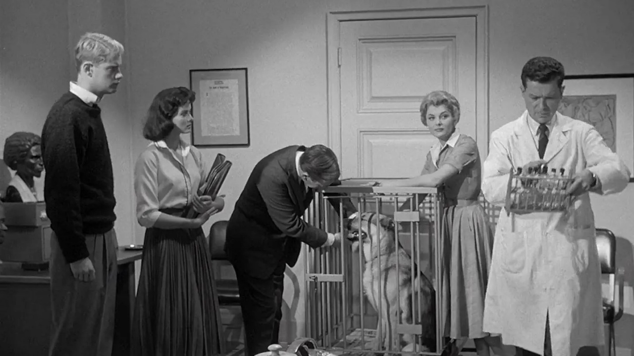 Monstruo en la Noche (1958)