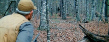 The Legend of Boggy Creek (1972)
