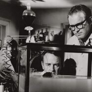 El Cerebro de Donovan (1953)