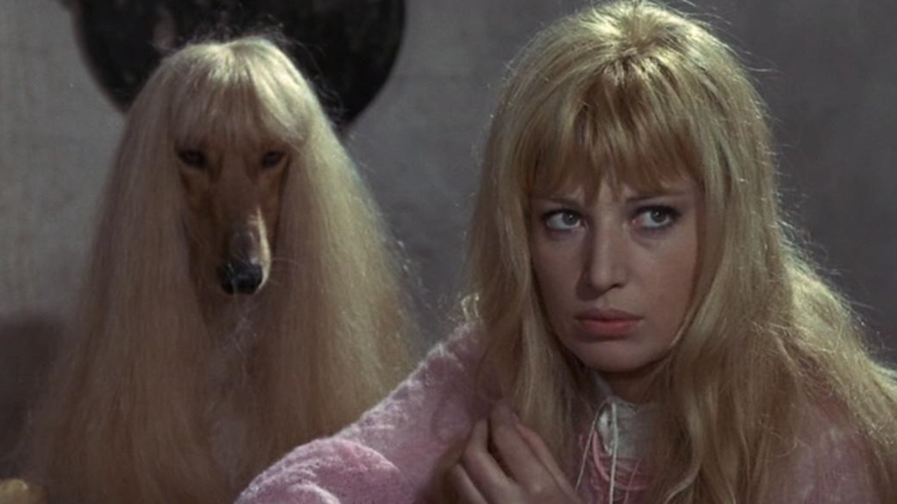 El Cinturón de Castidad (1967)